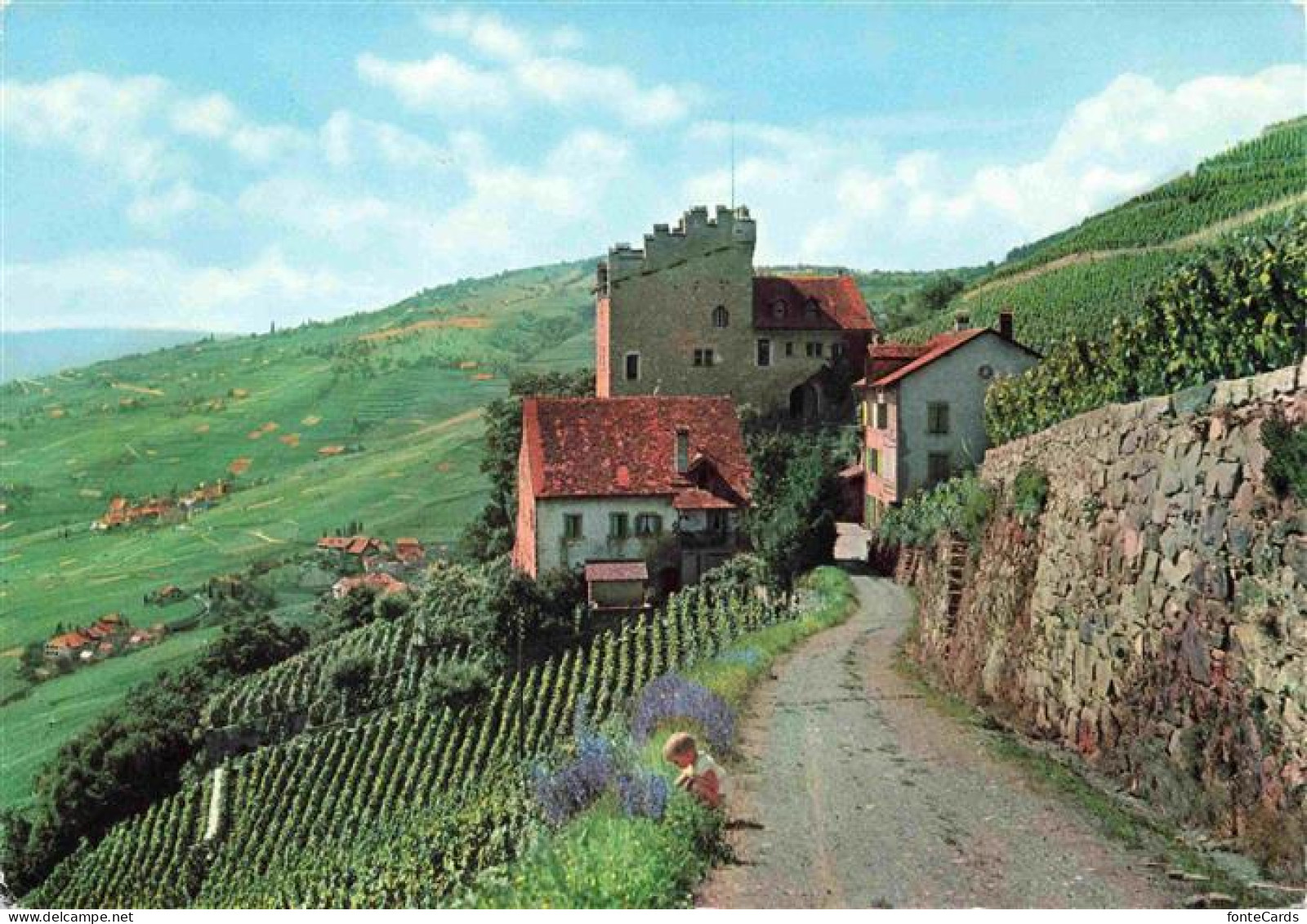 Marsens (La Tour de) Cully VD Panorama