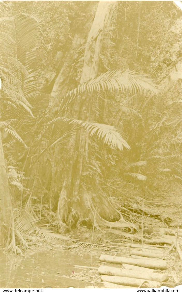 Marshall Islands unused photocard