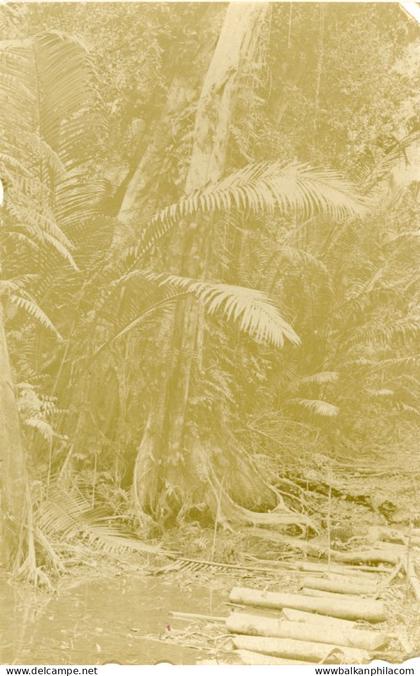 Marshall Islands unused photocard