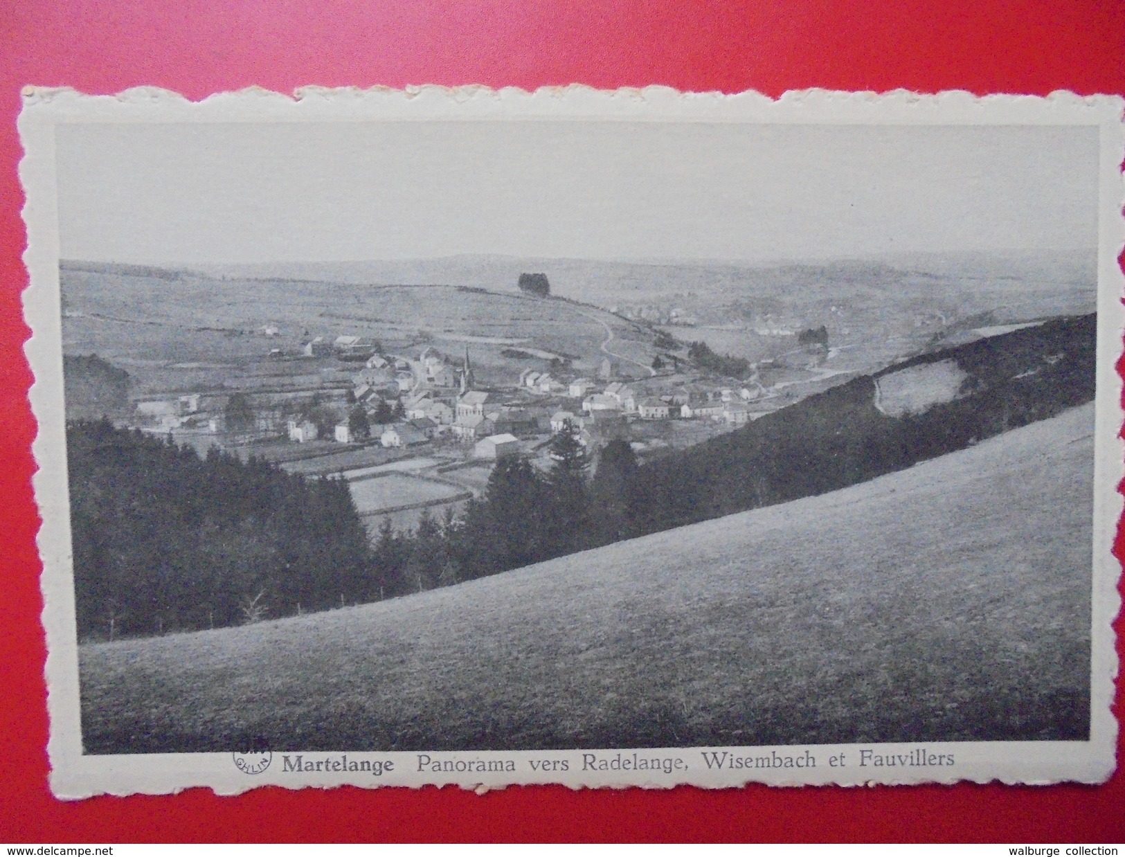 Martelange :Panorama vers Radelange, Wisembach et Fauvillers (M108)