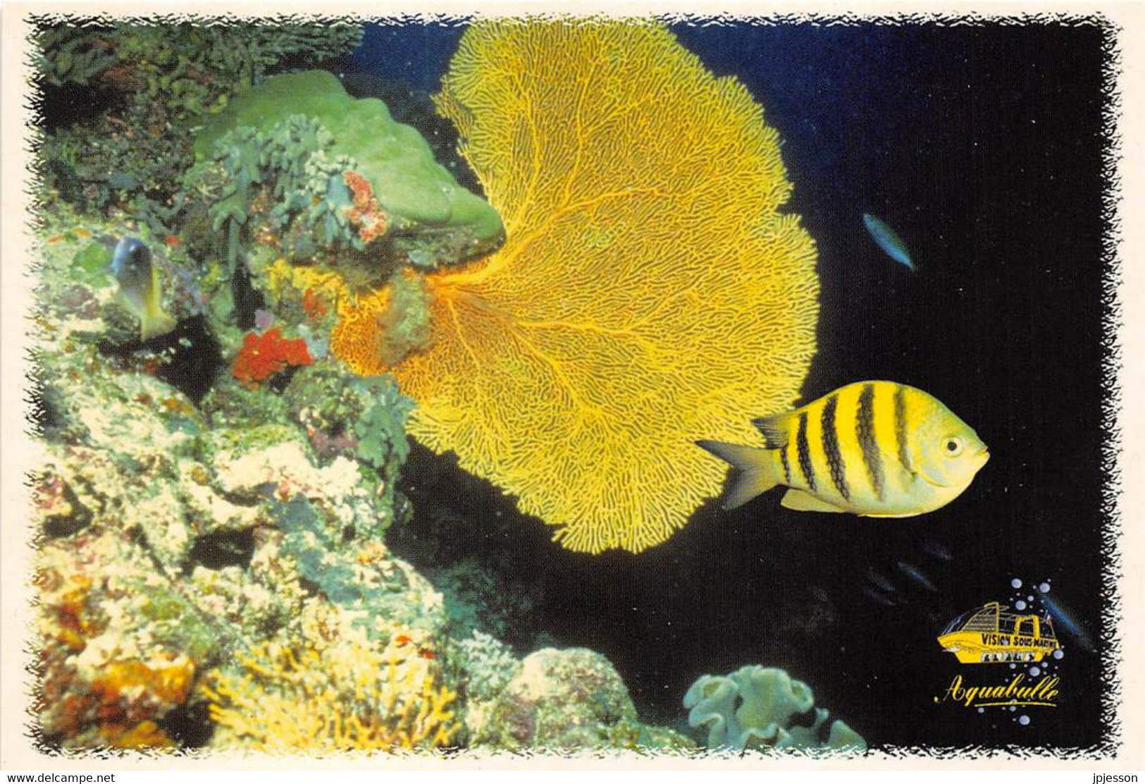 MARTINIQUE - LE MARIN - PORT DE PLAISANCE - "AQUABULLE" - POISSON