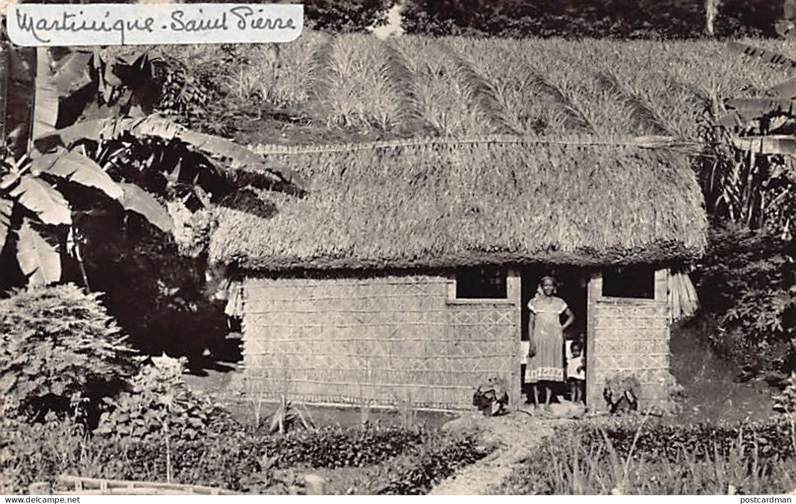 Martinique - SAINT-PIERRE - La gentille chaumière d'un pauvre paysan - Ed. La Martinique Touristique