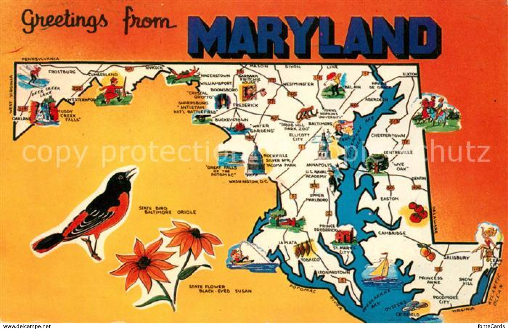 Maryland Line Panoramakarte