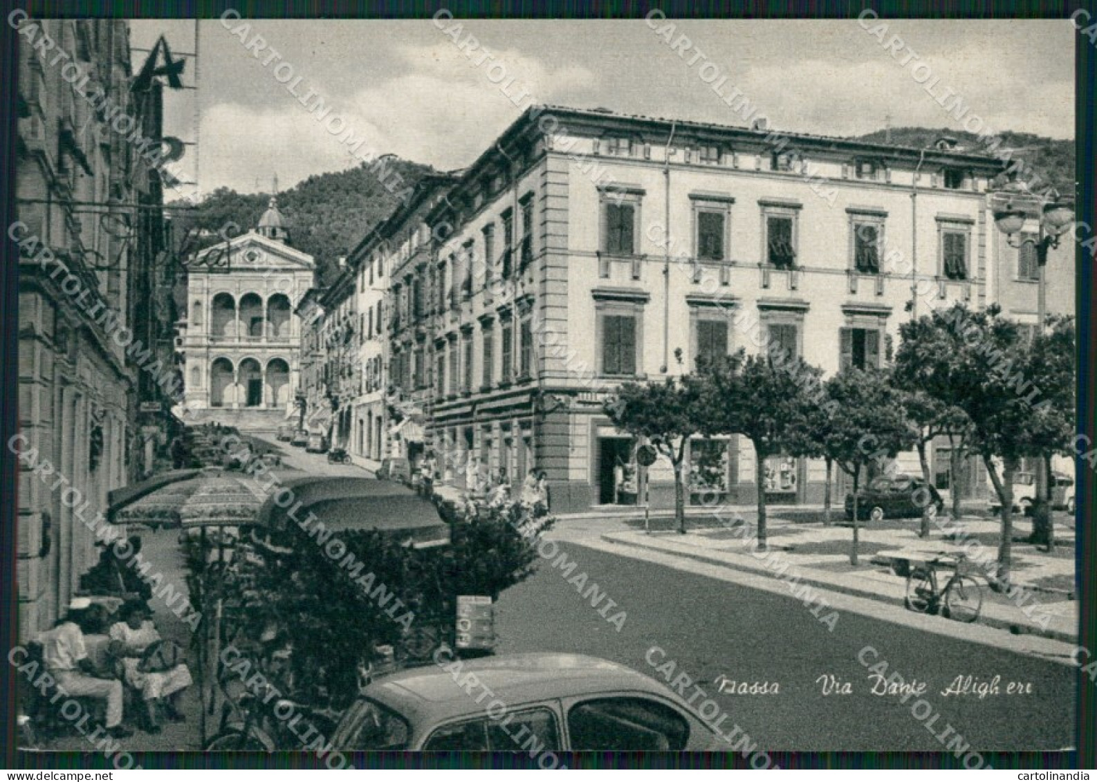 Massa FG cartolina ZK3231
