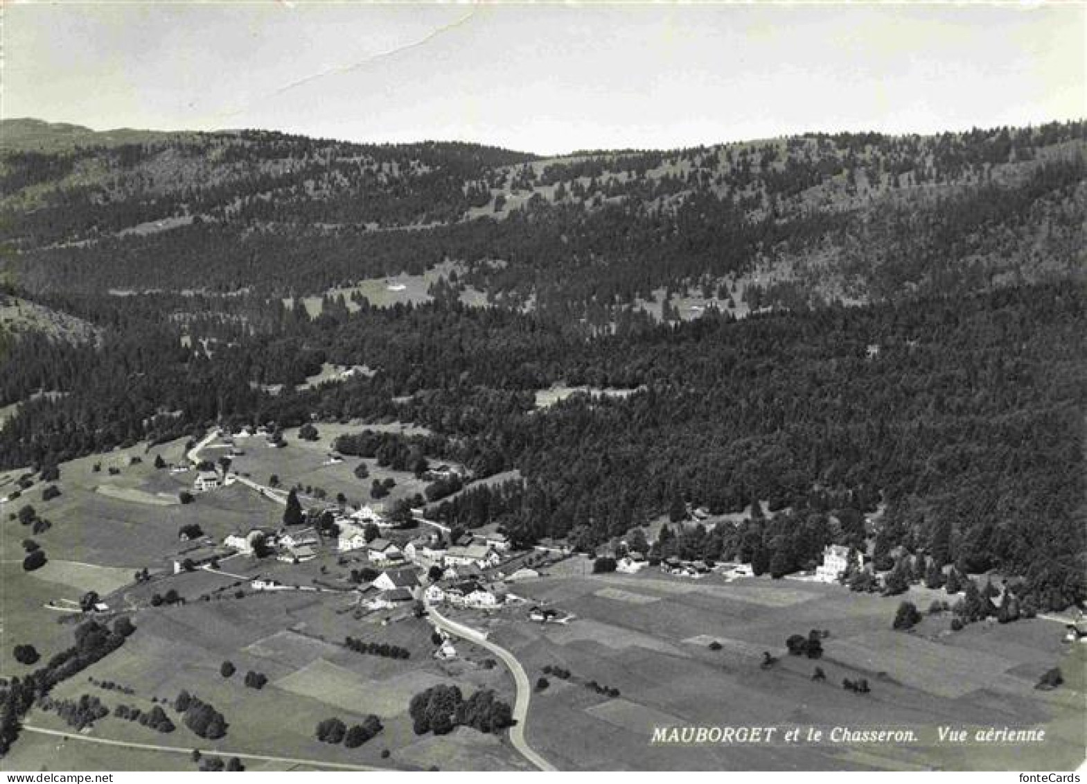 Mauborget VD et le Chasseron Vue aerienne