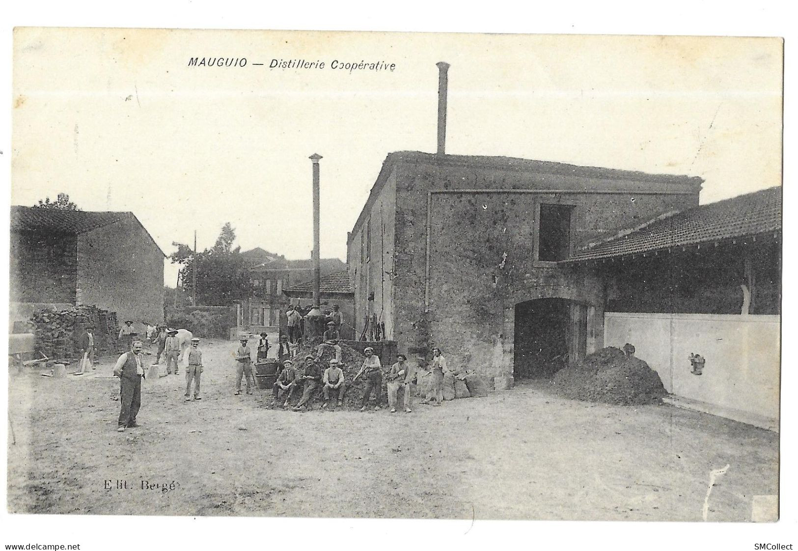 Mauguio, distillerie coopérative (A16p88)