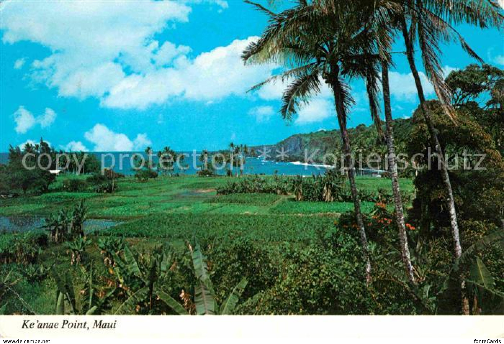 Maui Hawaii Keanae Point