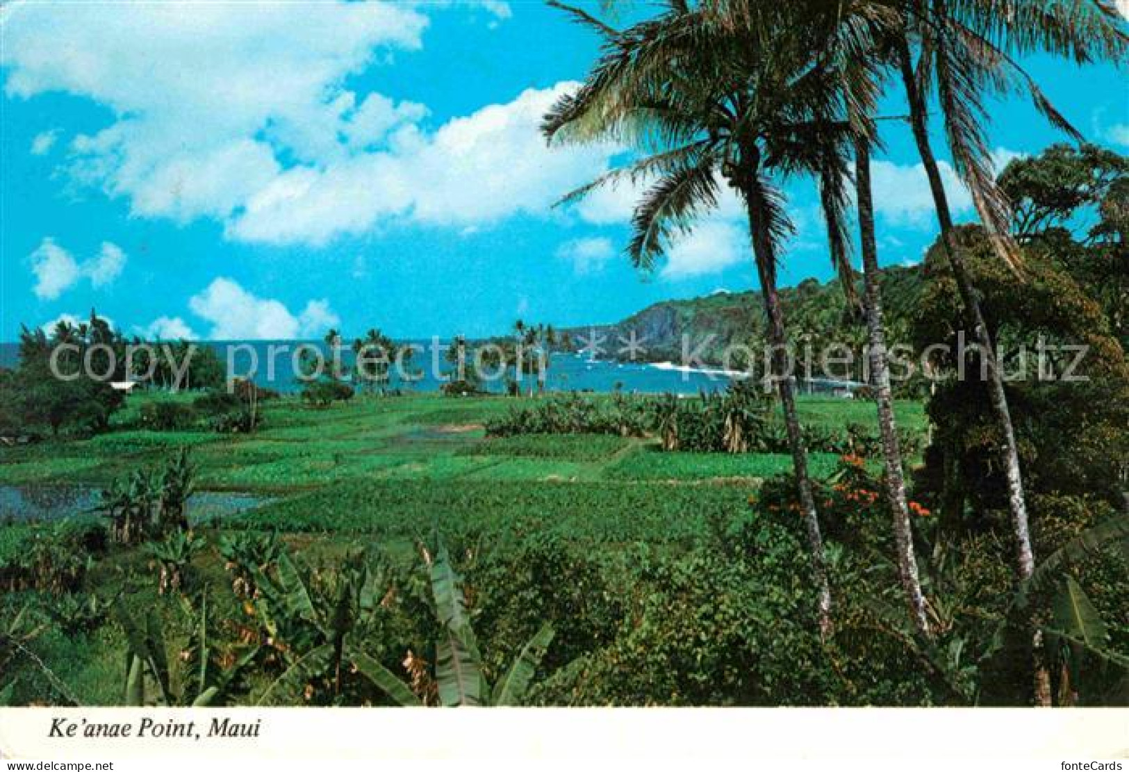 Maui Hawaii Keanae Point