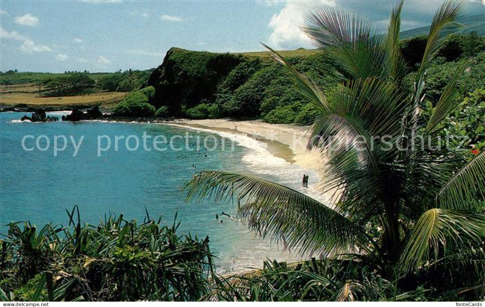 Maui Hawaii Strand