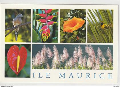 Mauritius, Maurice