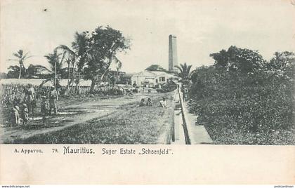 Mauritius - Sugar Estate Schoenfeld - Publ. A. Appavou 79