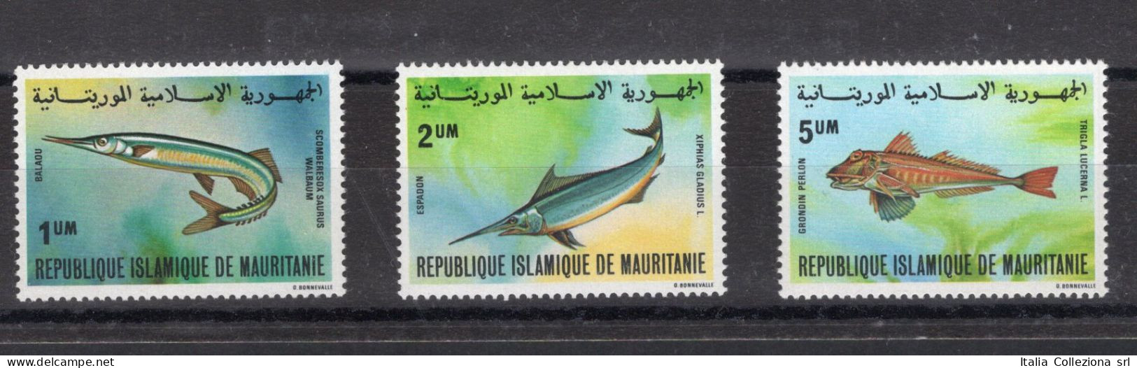Mauritania - 1981 - Fauna marina, Yvert n° 481-481A-482. Certificato: Italia Colleziona srl. Cat. € 252 - MNH