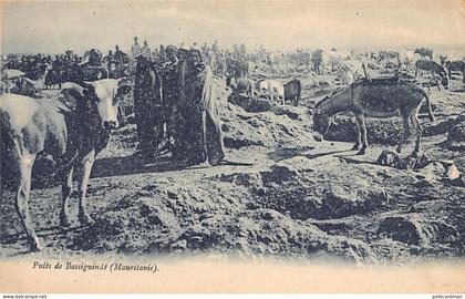 Mauritanie - Puits de Bassiguindé - Ed. Lévy & Neurdein