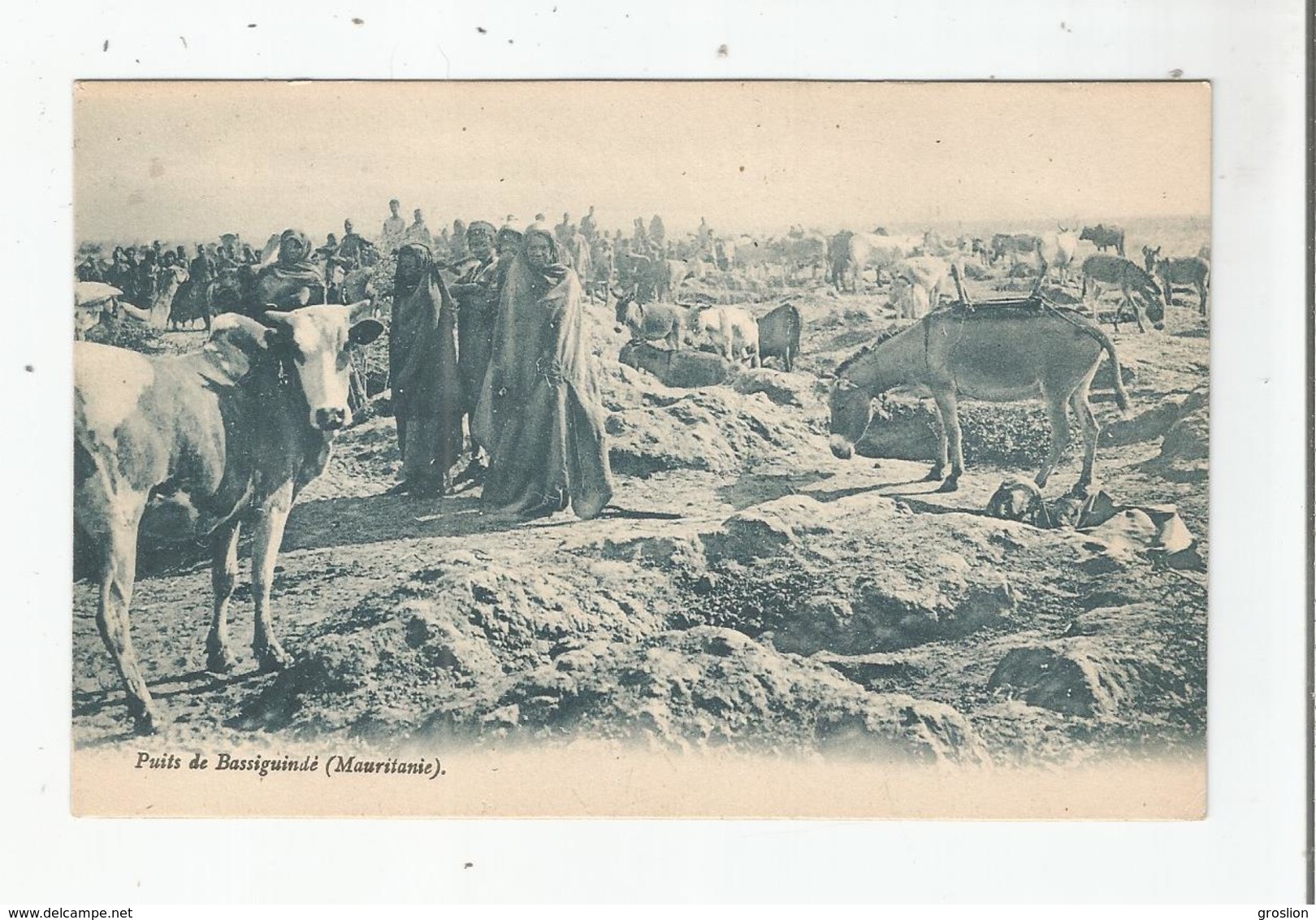 MAURITANIE PUITS DE BASSIGUINDE (ANES VACHES ET ANIMATION)