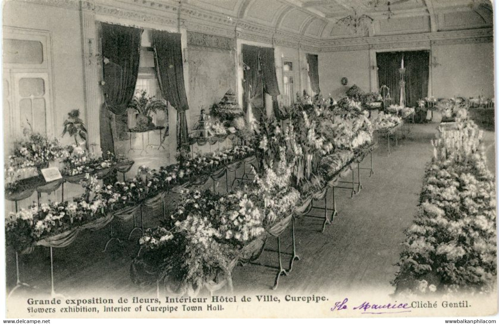 Mauritius Curepipe Town Hall Flowers Exhibition