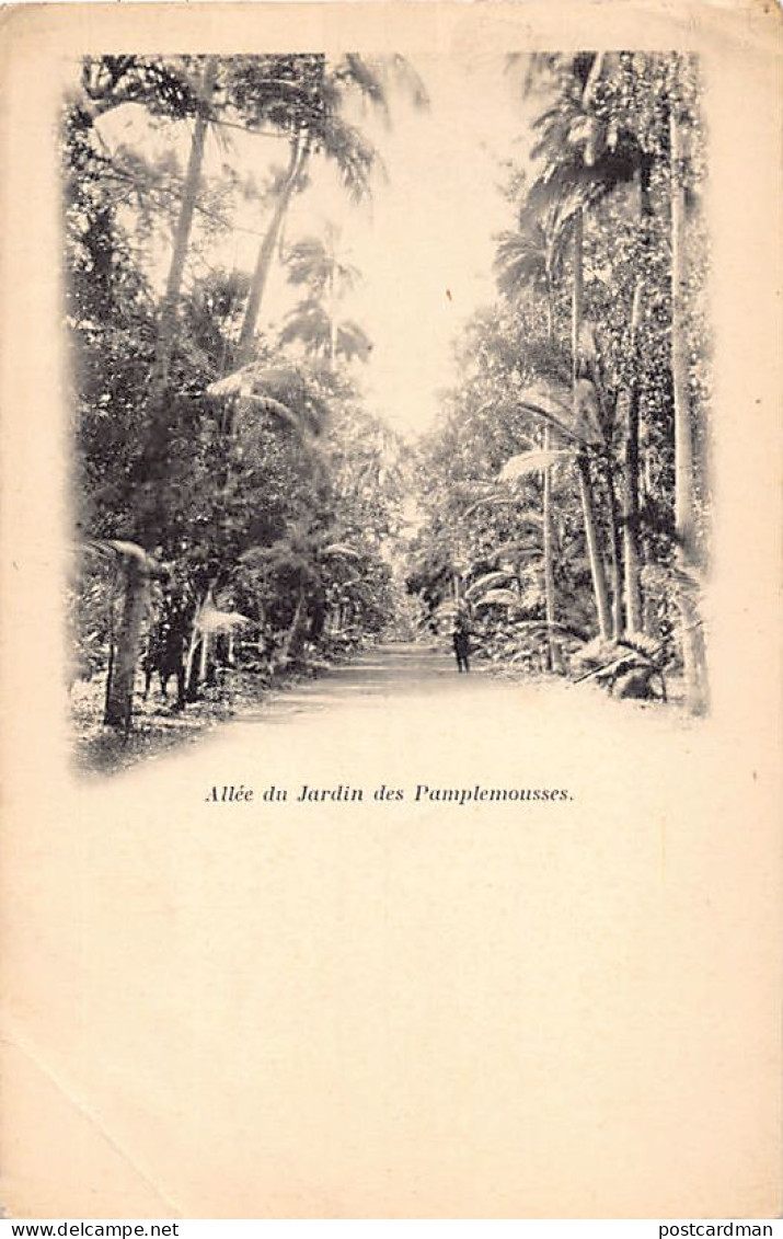 MAURITIUS Ile Maurice - Allée du jardin de Pamplemousses