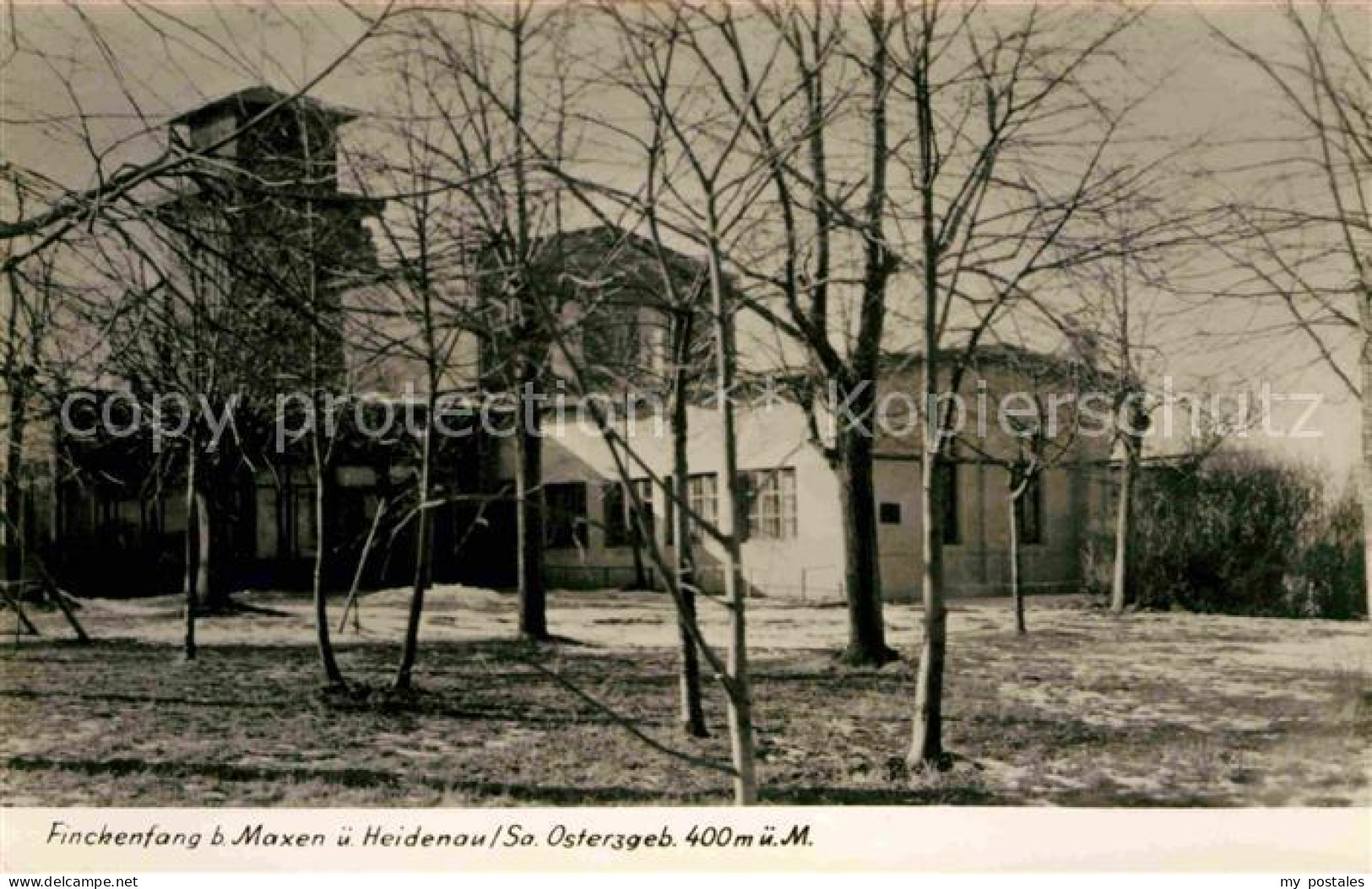 Maxen Finkenfang Handabzug