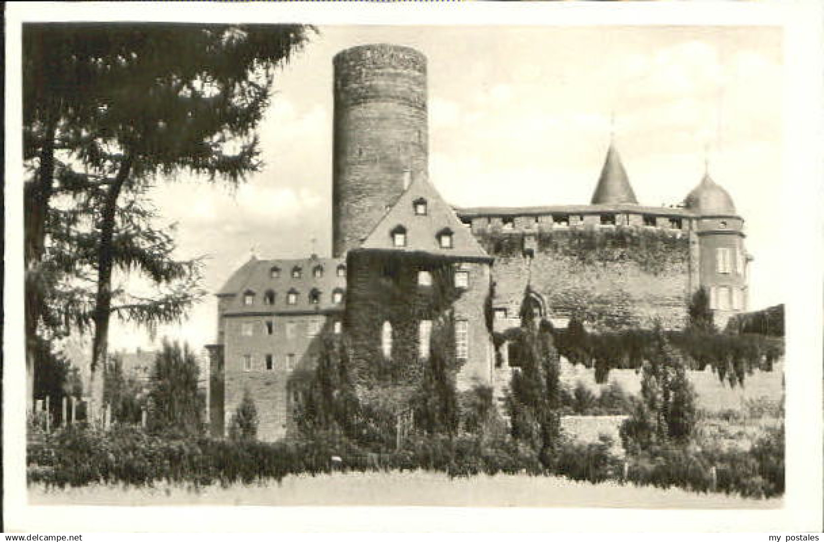 Mayen Genovevaburg
