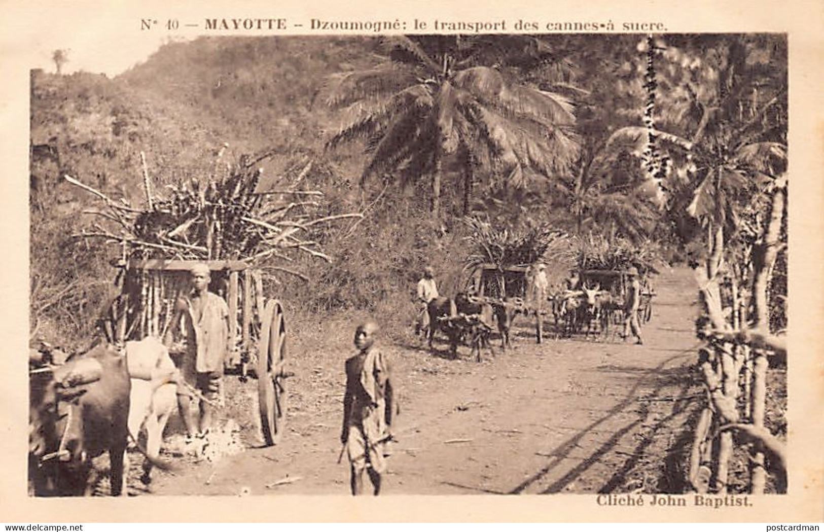 MAYOTTE - Dzoumogné - Le transport des cannes à sucre - Cliché John Baptist - Ed. Issoufali 40