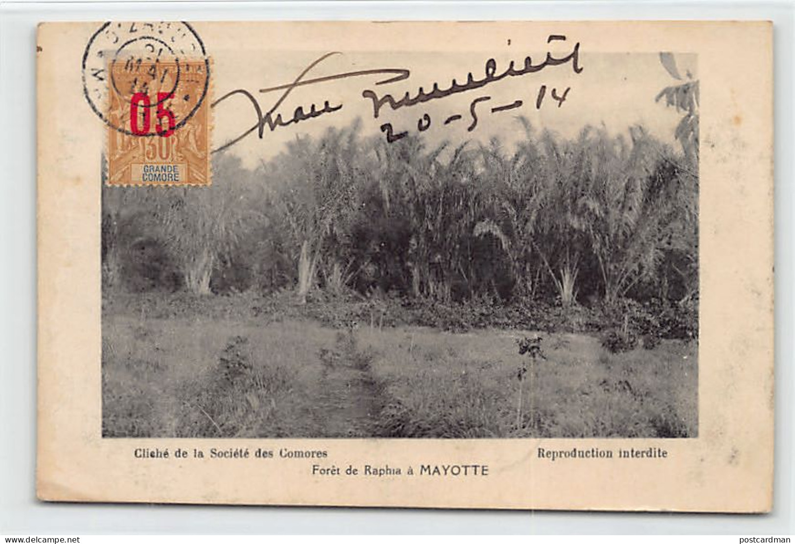 MAYOTTE - Forêt de Raphia - Ed. Société des Comores