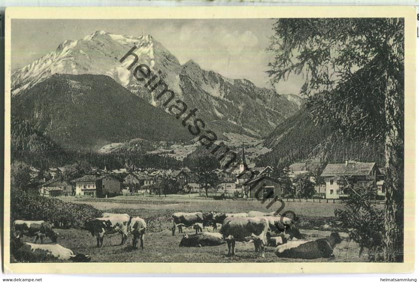 Mayrhofen mit Grünberg - Foto-Ansichtskarte - Verlag A. Schöllhorn Innsbruck