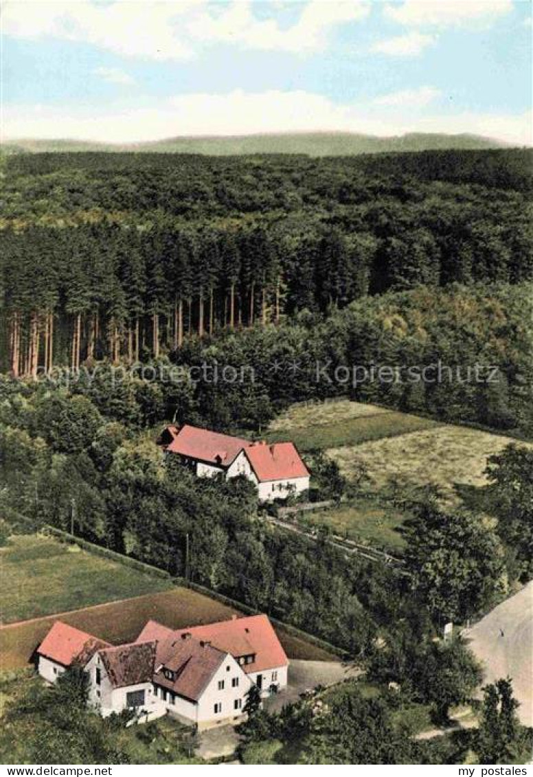 Meerhof Eggegebirge Marsberg Hochsauerlandkreis NRW Waldhaus Privatpension Wuell
