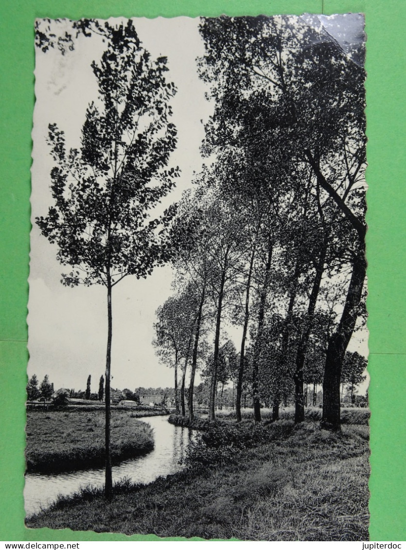 Meerhout De Grote Nete