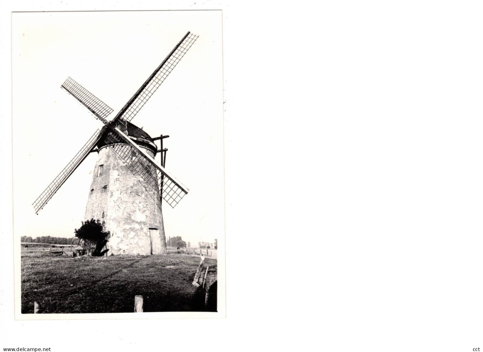 Meetkerke  Zuienkerke   FOTO  van de Grote molen  Biezestraat   1979 MOLEN  MOULIN