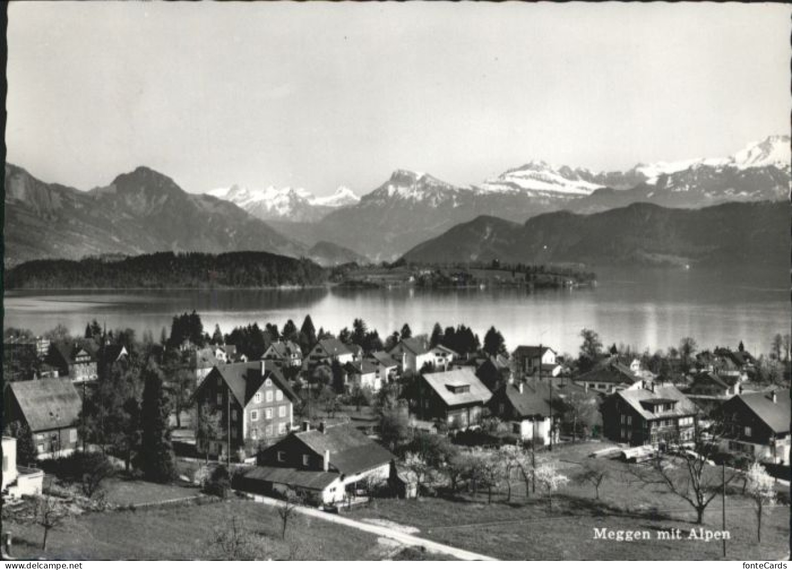 Meggen
