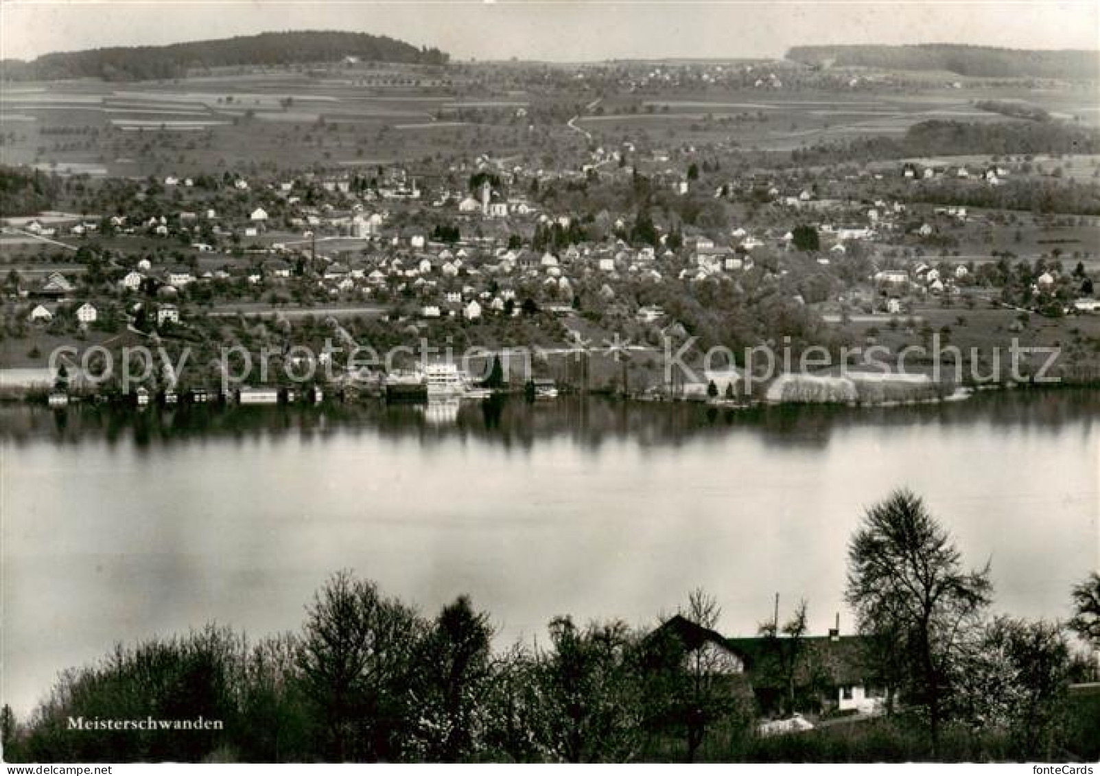Meisterschwanden AG Panorama