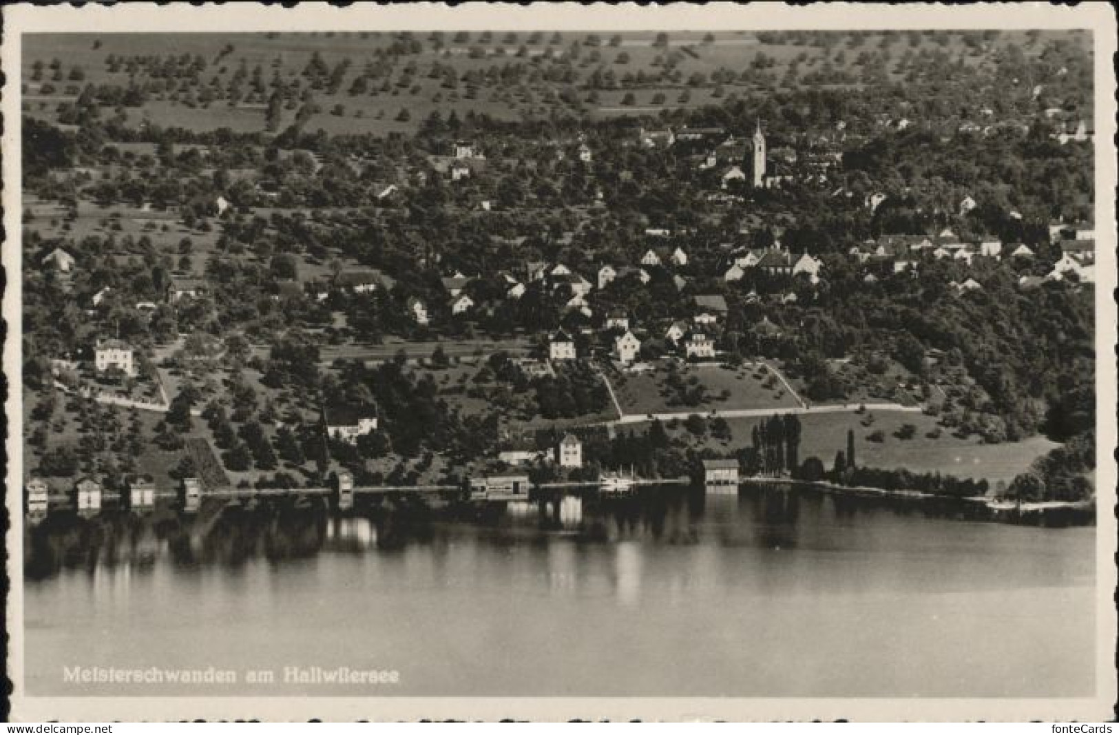 Meisterschwanden Hallwilersee Fliegeraufnahme