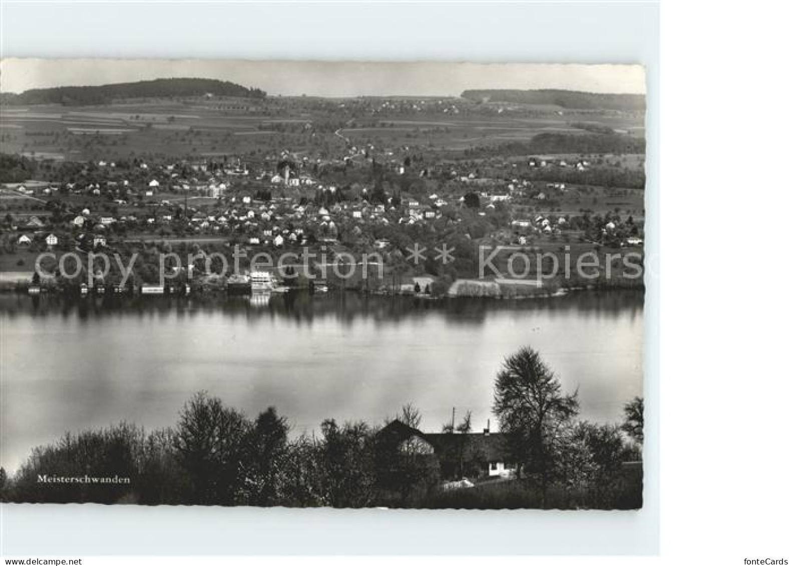 Meisterschwanden Panorama Hallwilersee