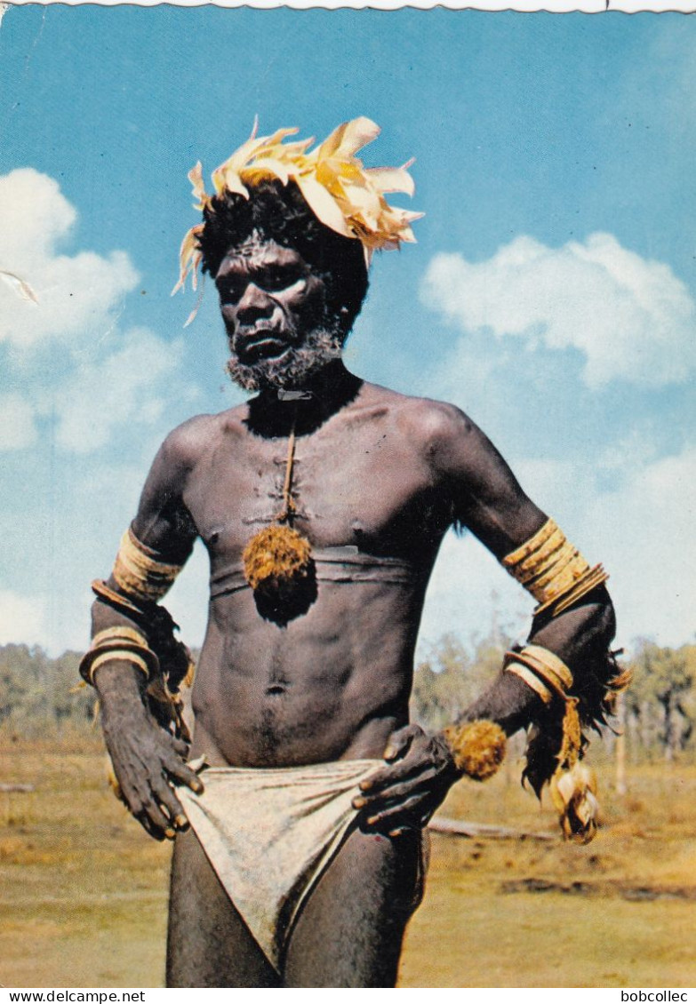 MELVILLE ISLAND (Australie): An Australian native of Snake Bay