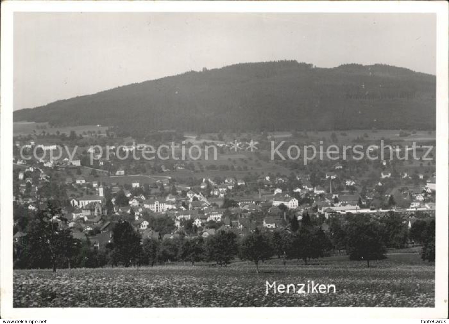 Menziken Totalansicht