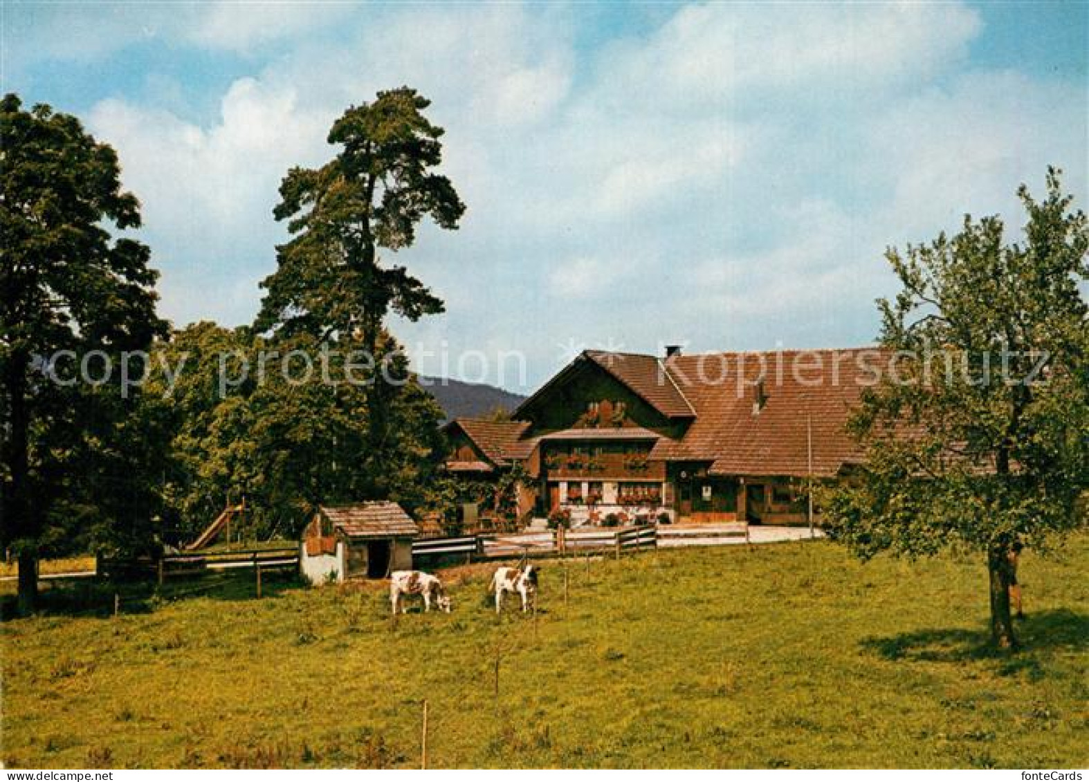 Menziken Wirtshus Trolerhof Kuehe