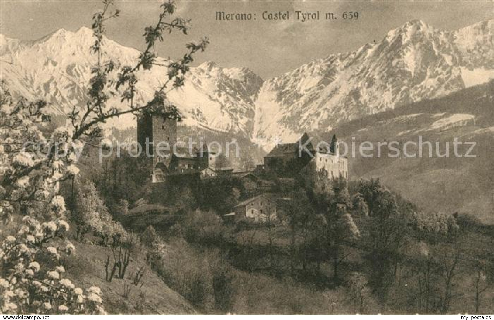 Merano Meran Castel Tyrol