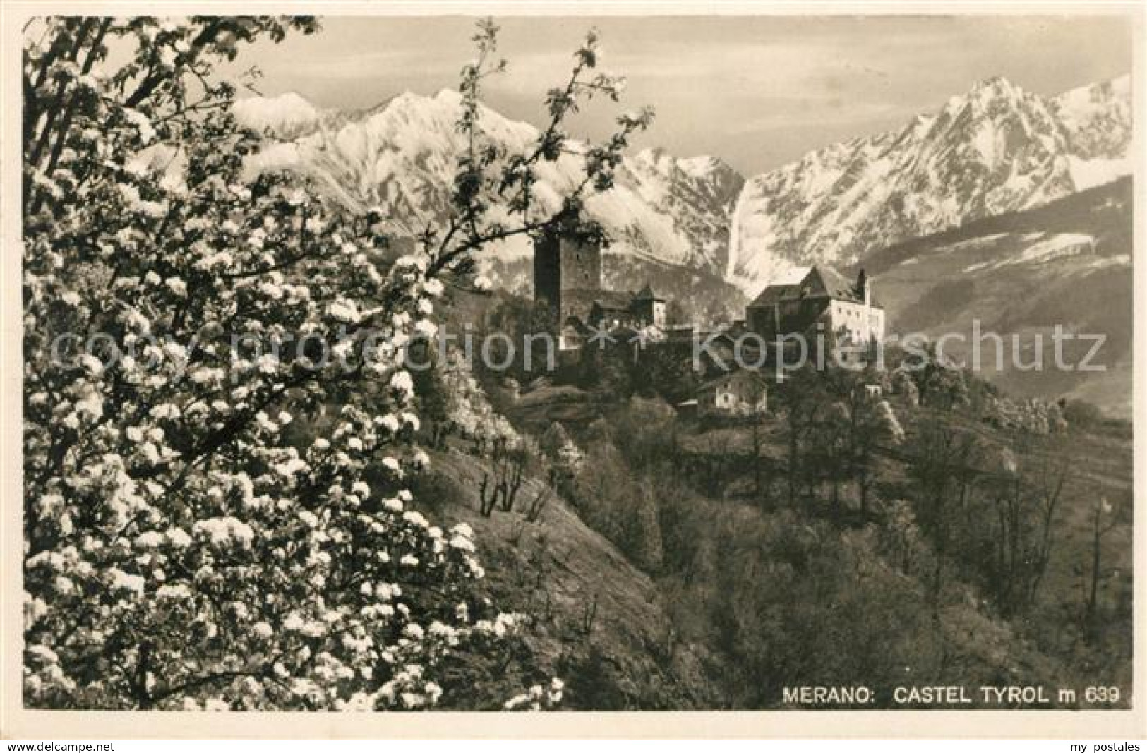 Merano Meran Castel Tyrol