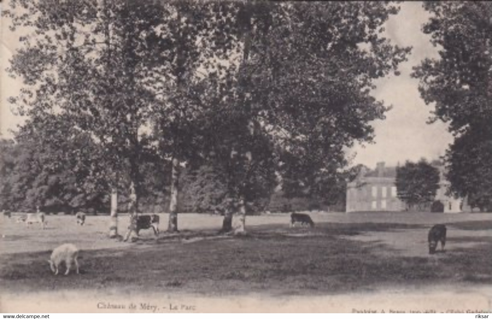 MERY SUR OISE(ARBRE)