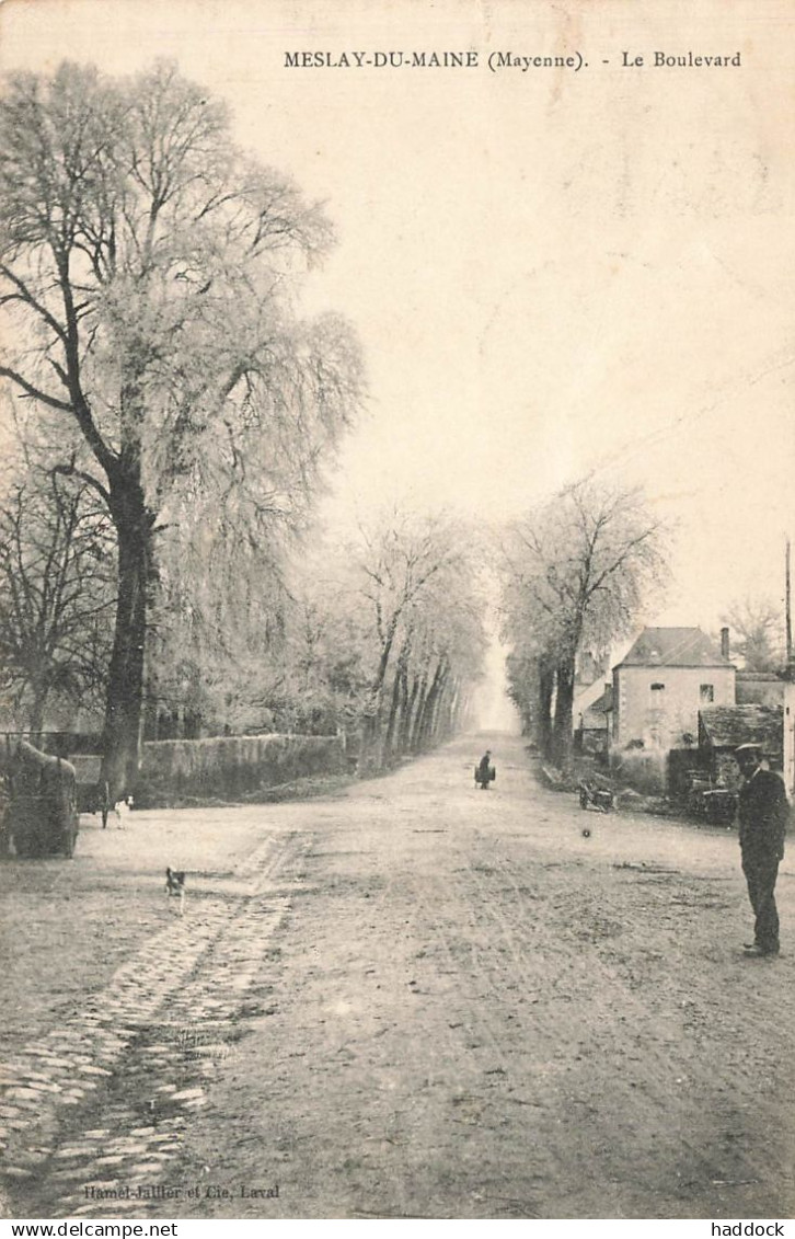 MESLAY DU MAINE : LE BOULEVARD