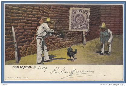 AMERIQUE - MEXIQUE -- México -- Pelea de Gallos
