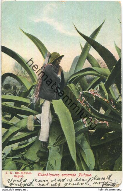 Mexico - Tiachiquero sacando Pulque - Verlag J. K. Mexico