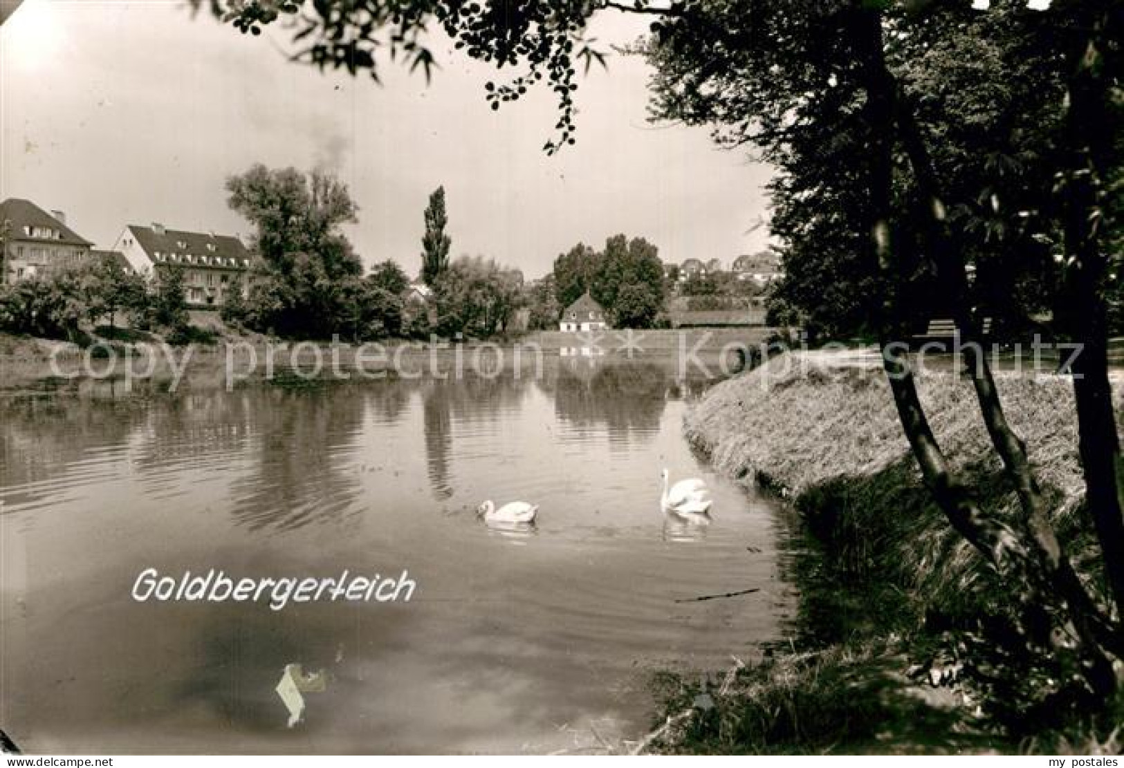 Mettmann Goldbergerteich