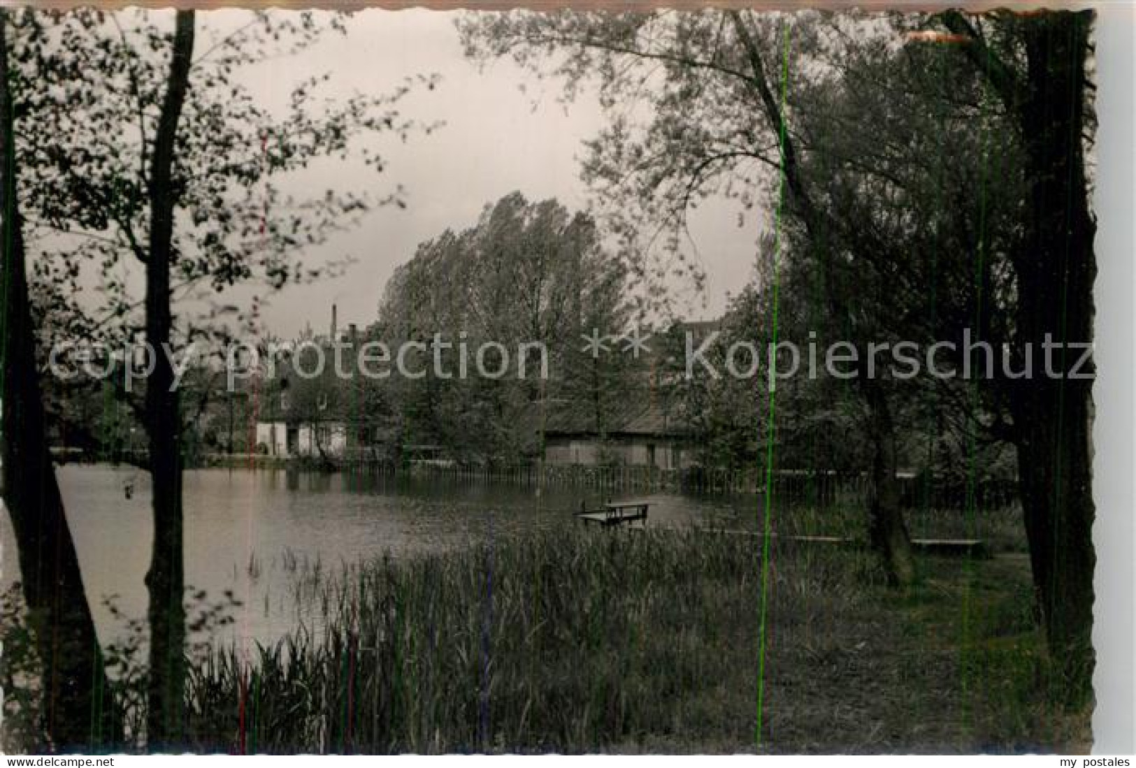Mettmann Goldbergteich Muehle