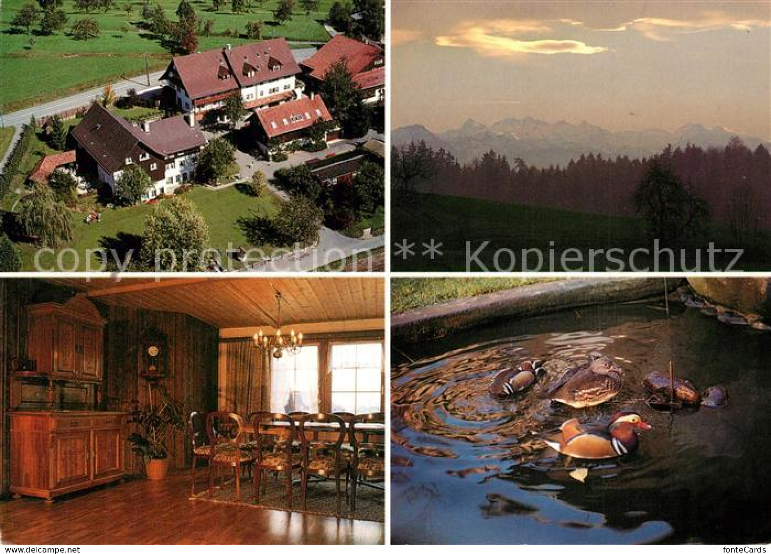 Mettmenstetten Missionshaus Gueetli