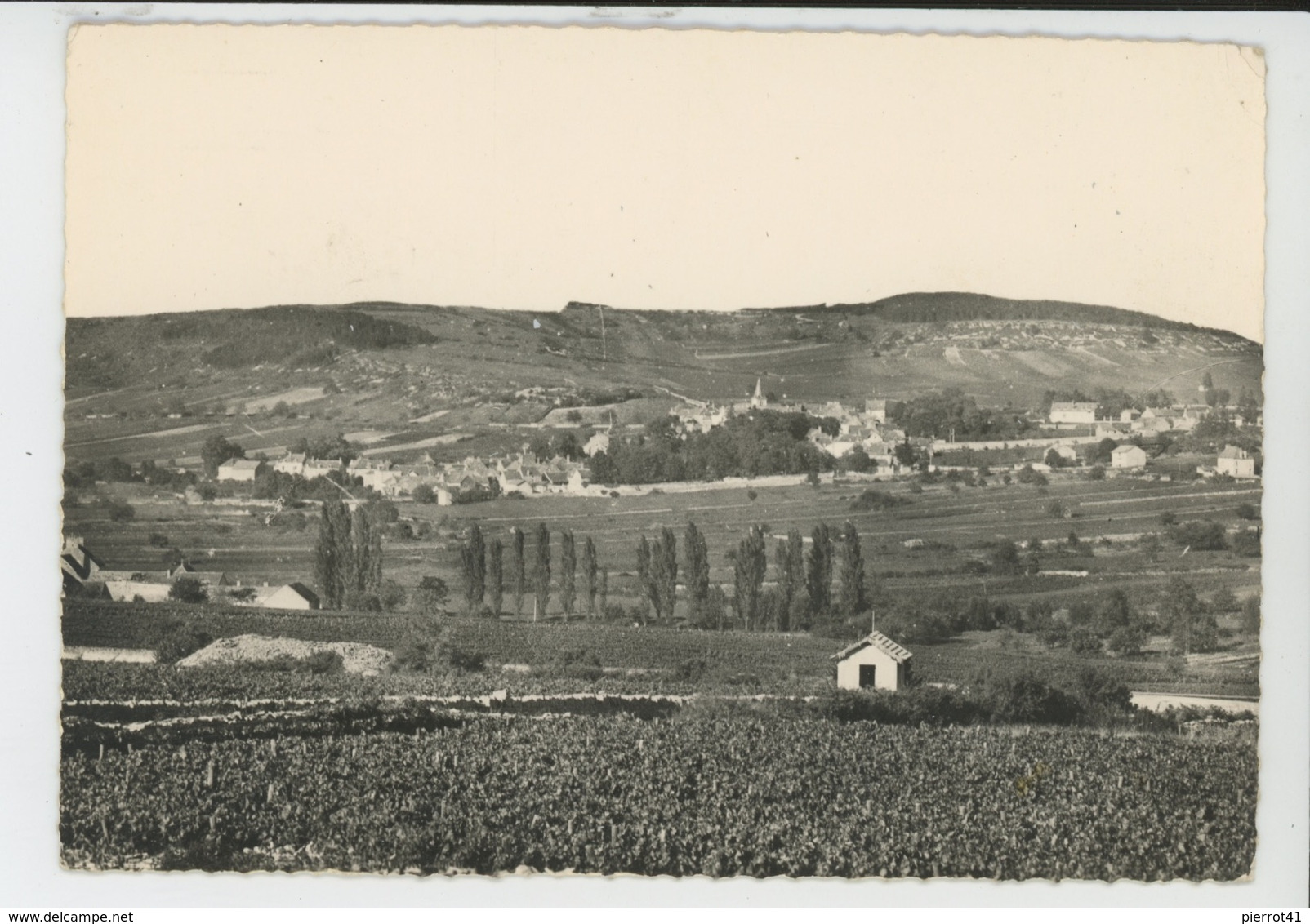 MEURSAULT (environs)