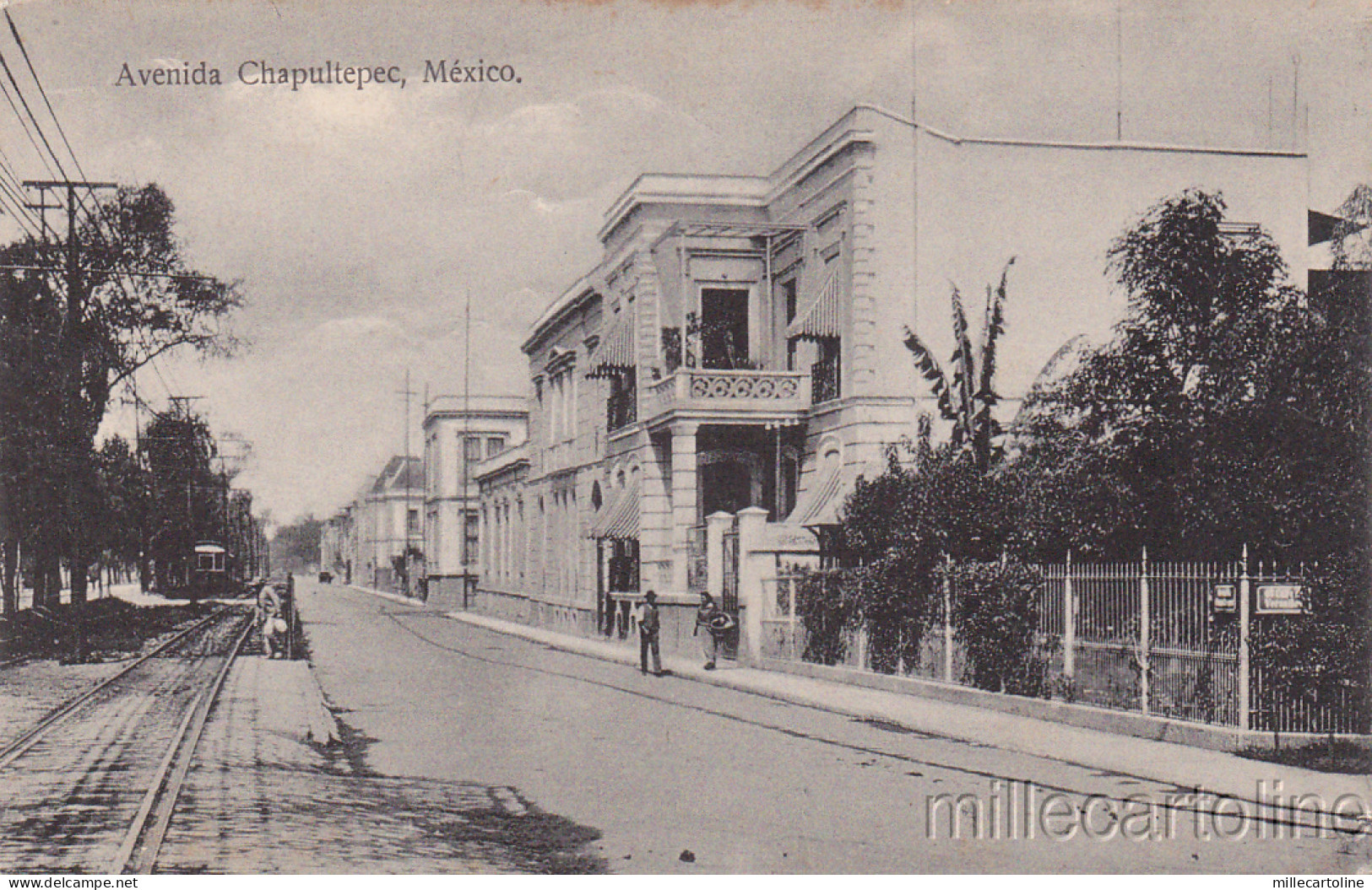 * MEXICO - Avenida Chapultepec