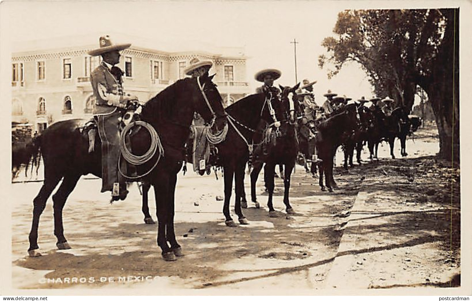 México - Charros de México - POSTAL FOTO - Ed. desconocido