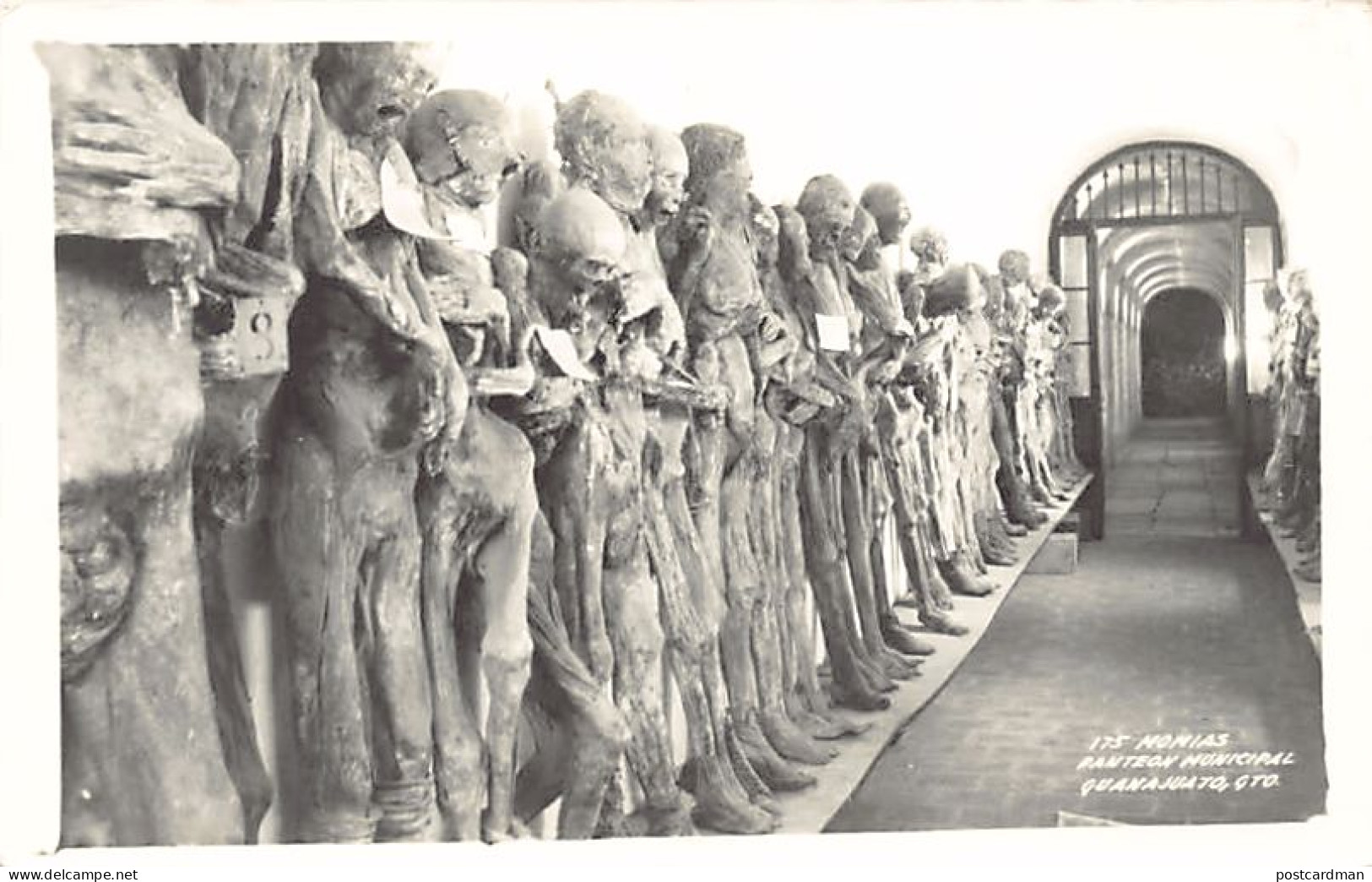 México - GUANAJUATO - Momias - Panteon Municipal - Real Photo - Ed. desconocido 175