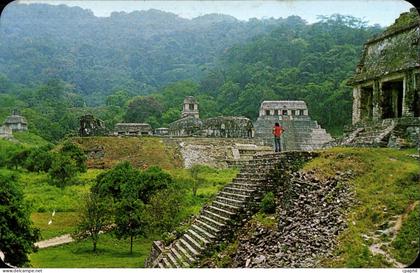 CPA Mexique Mexique Vista Palenque desde Templo del Conde Palenque as seen fron the Count Temple Palenque Chis Mexico