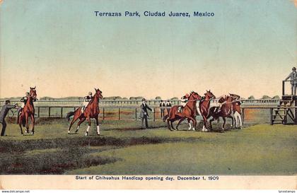 Mexico Terrazas Park Ciudad Juarez Start of Chihuahua Handicap Horses postcard